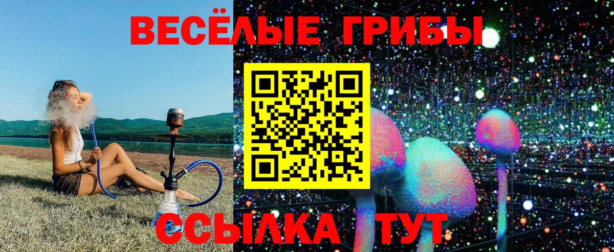 Вязьма  закладки  Галлюциногенные грибы Cubensis  Вход с VPN  Псилоцибиновые грибы мухоморы 